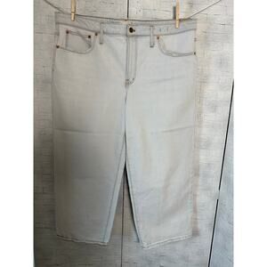 Madewell women’s jeans perfect vintage wide leg light wash distress plus size